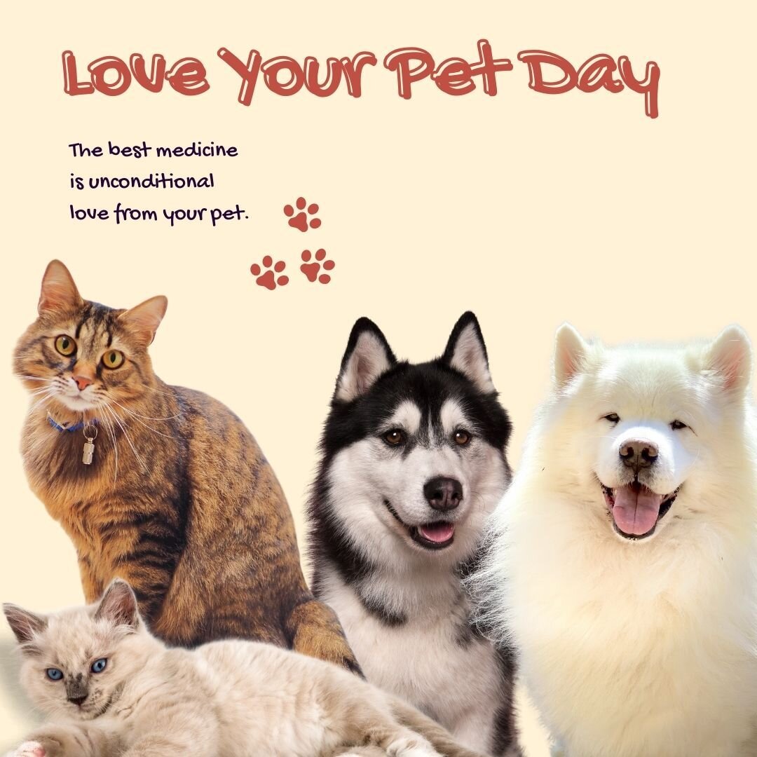 Today and every day, let's celebrate the unconditional love, joy, and companionship our furry friends bring into our lives. Happy National Love Your Pet Day! 🐾💖 #LoveYourPetDay #FurryFriendTherapy