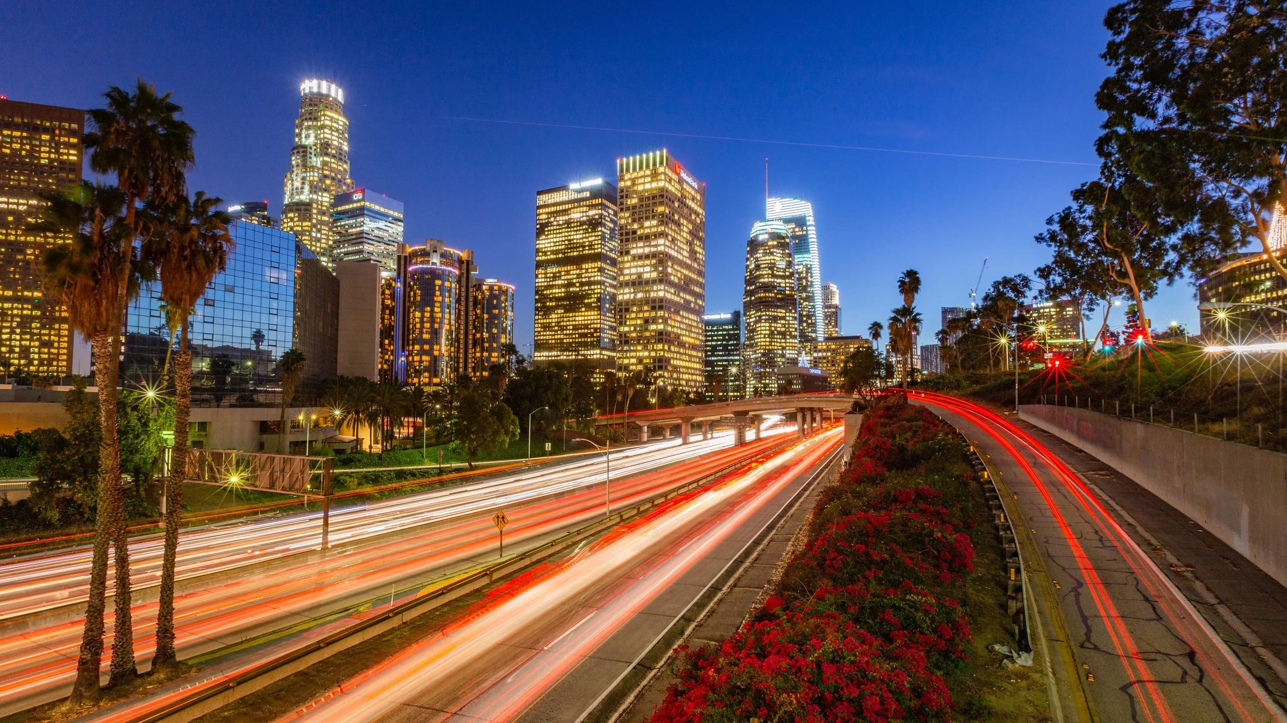 Cityscape of Los Angeles at night with skyscrapers, light trails from cars on the freeway, palm trees, and colorful streetlights.