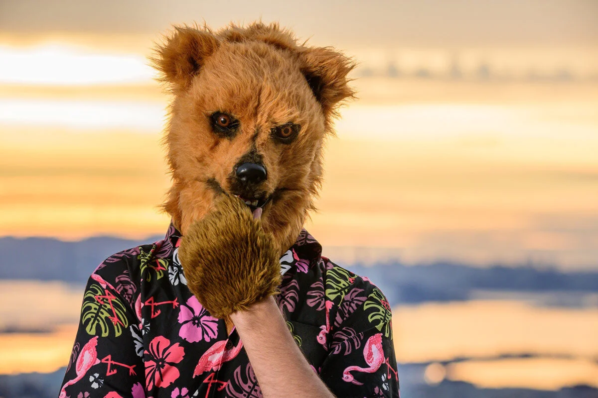 Fox Bear Do