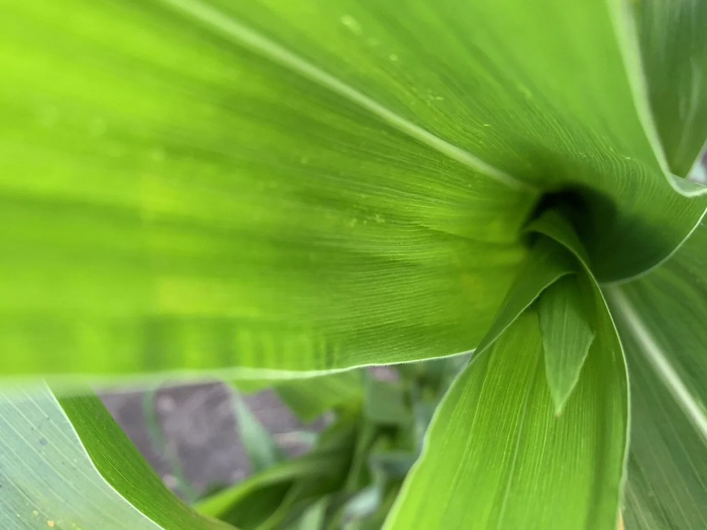 FARMERS WEEKLY REVIEW — Will County Farm Bureau