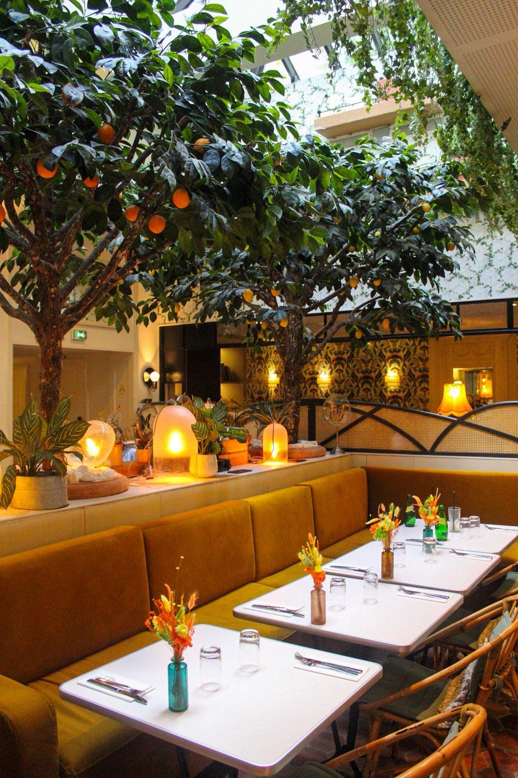 Arbore restaurant.jpeg