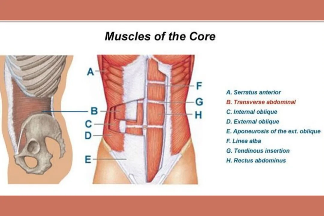 Core Workouts: What are they and Why are they Important — BalloFlex