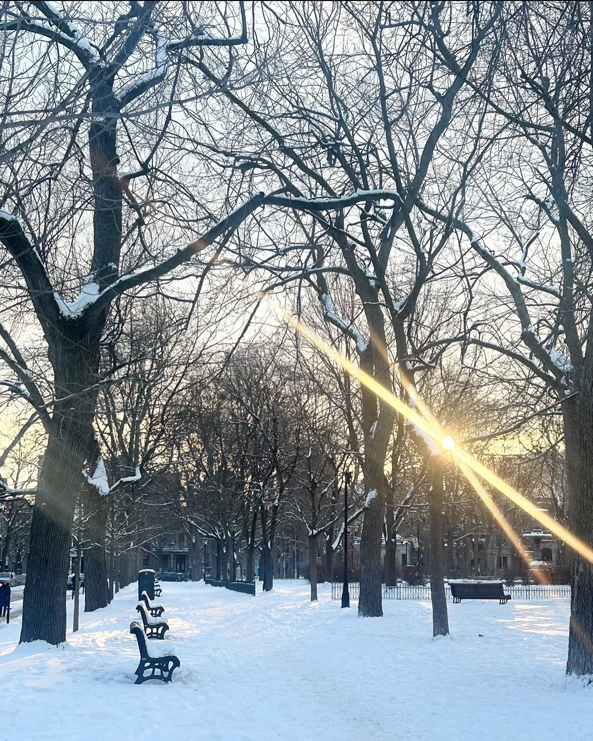 Montreal-core winter ☃️
