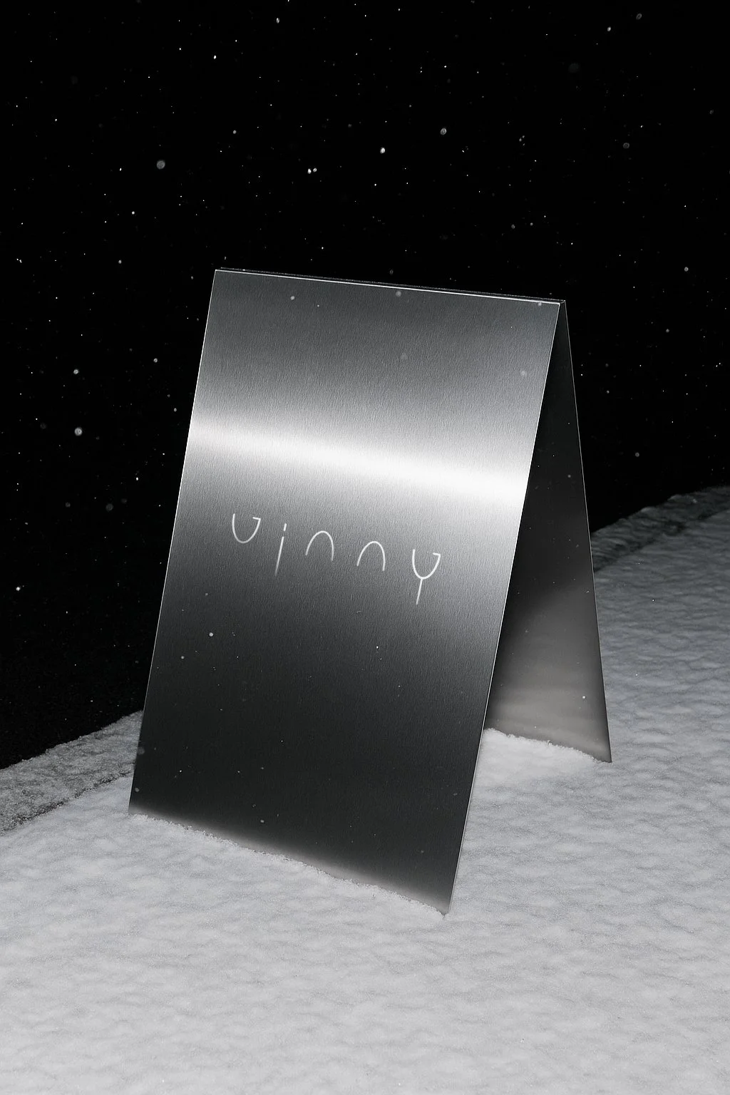 VINNY_010.jpg