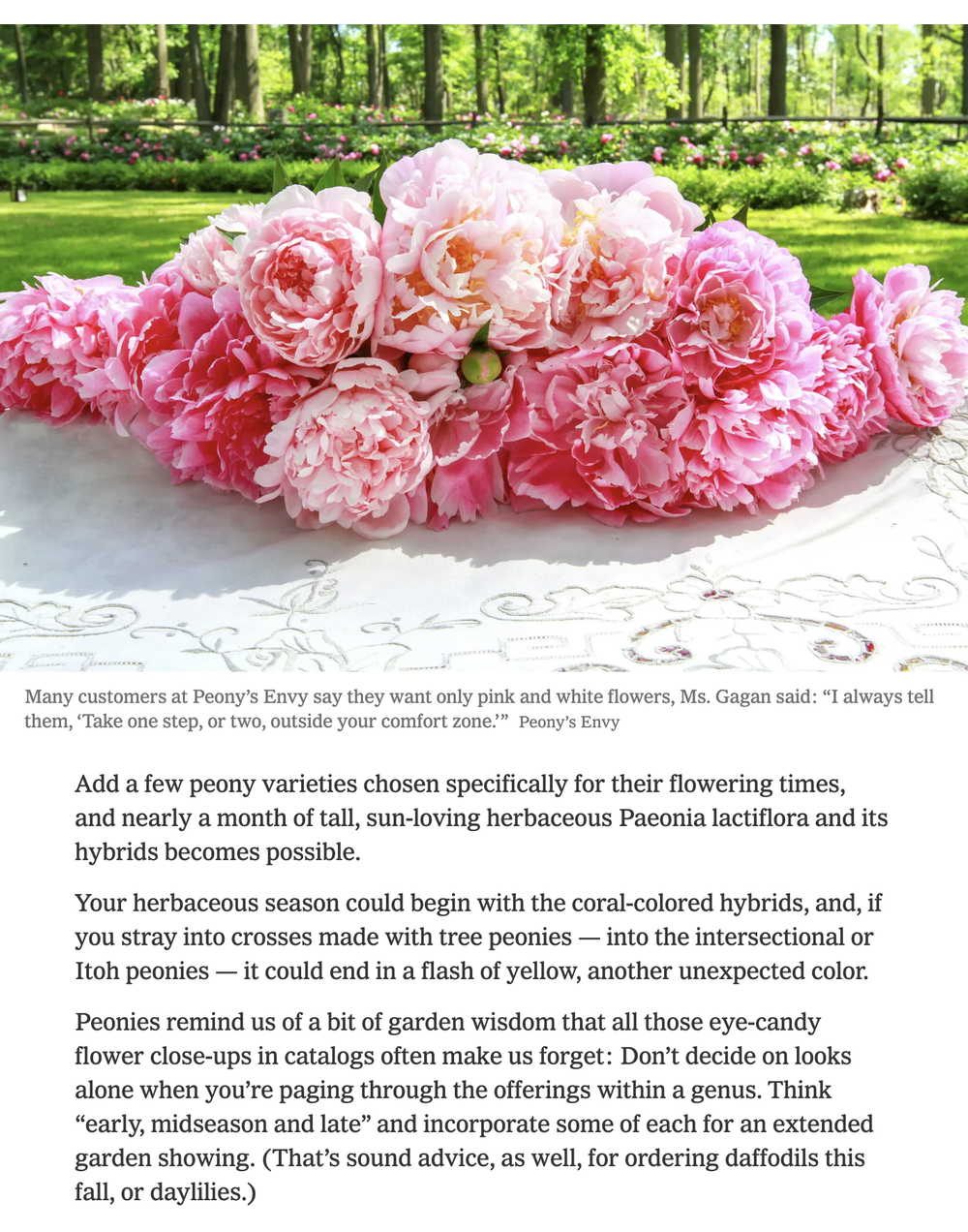 In the Press — Peony's Envy