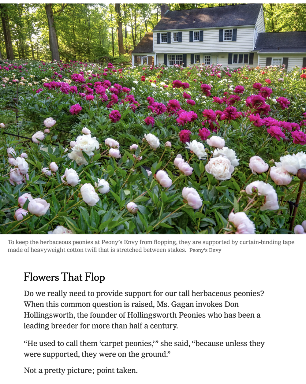 In the Press — Peony's Envy