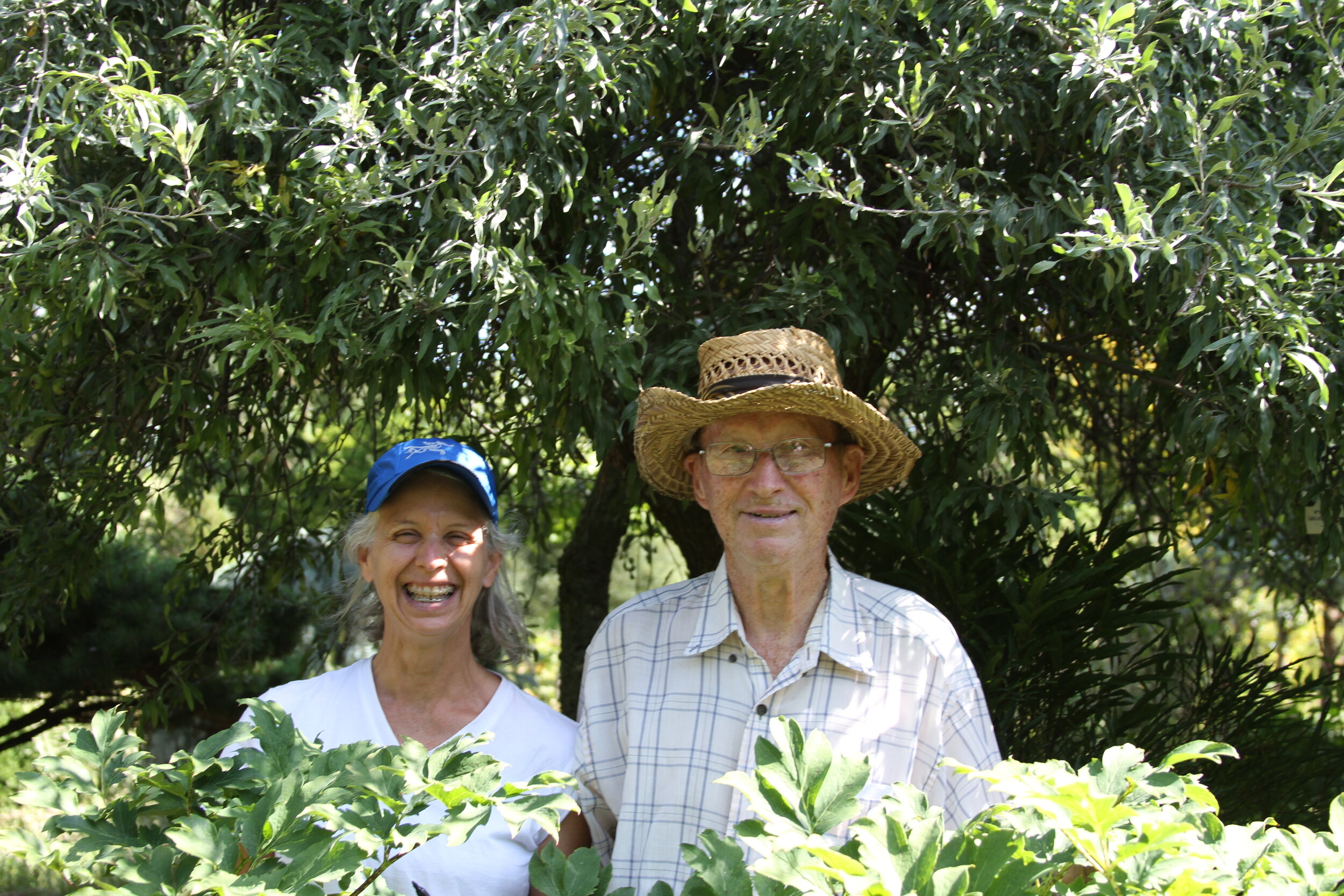 Kathleen Gagan &amp; Bill Seidl Grafting Tree Peonies