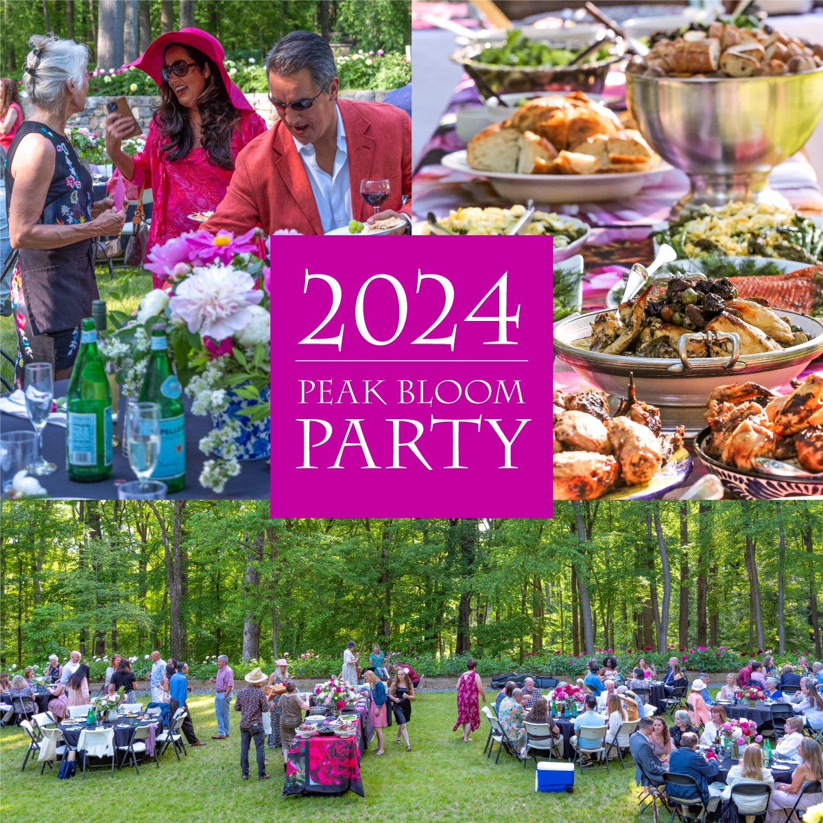 2024 Peak Bloom Parties