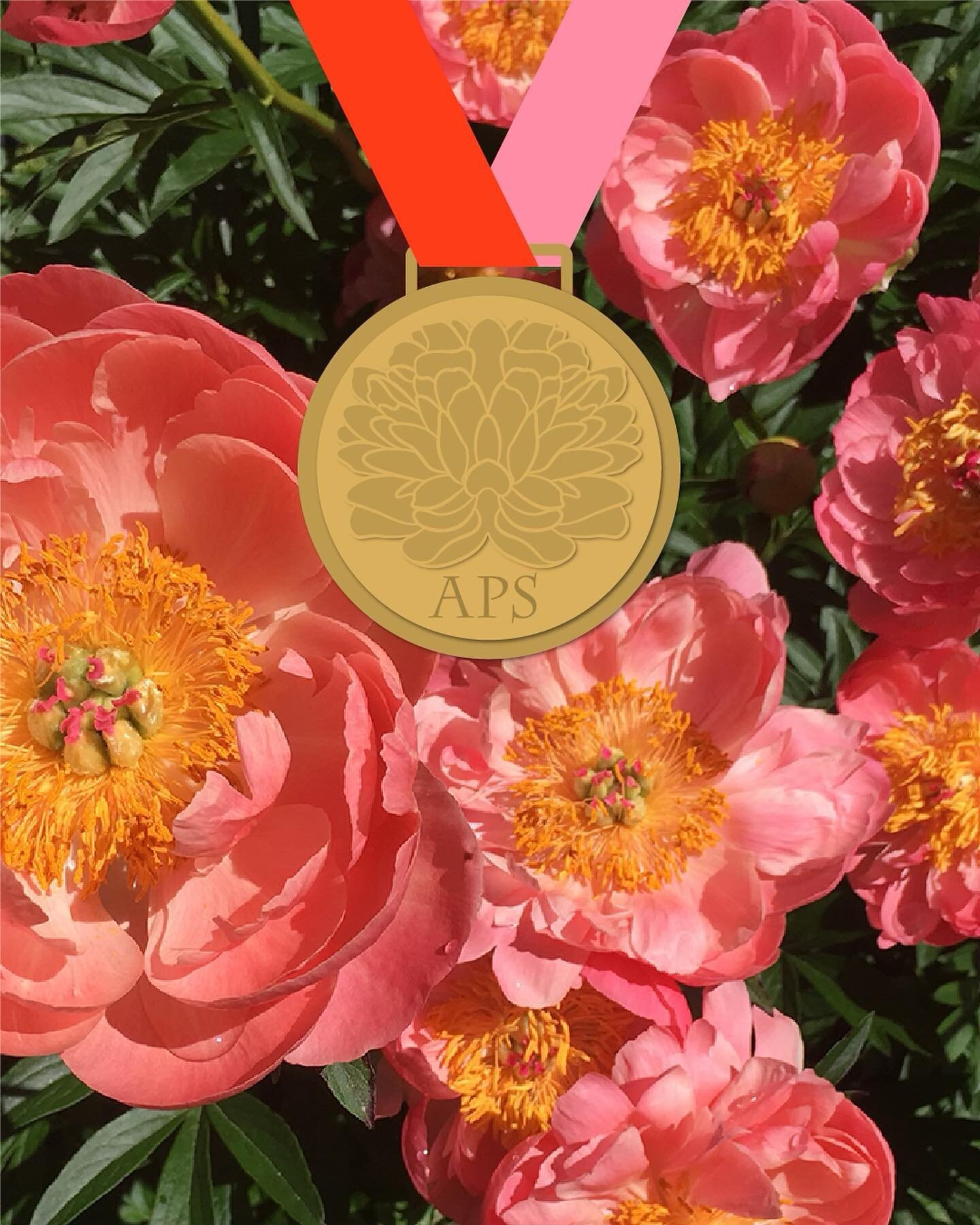 About Peony's Envy — Peony's Envy