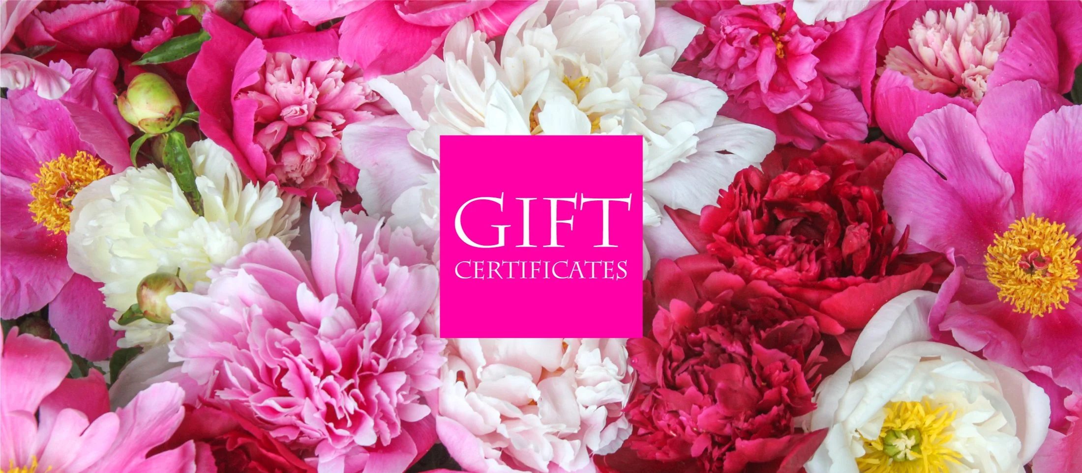 index_12_2_21_giftcert_h1.jpg