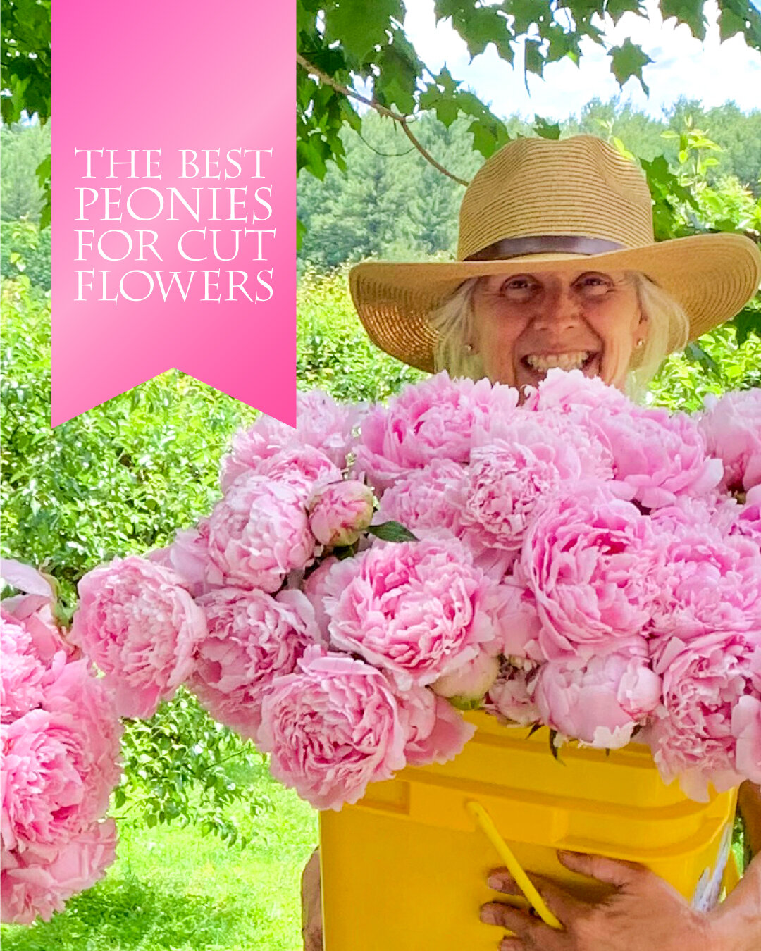 Calling All Flower Farmers! Our best peonies to grow for cut flowers are now available in bulk. 10 plants at a huge savings. Limited quantities, while supplies last. Find all of them at peonysenvy.com on our 'Peony Packs &amp; Bulk' page