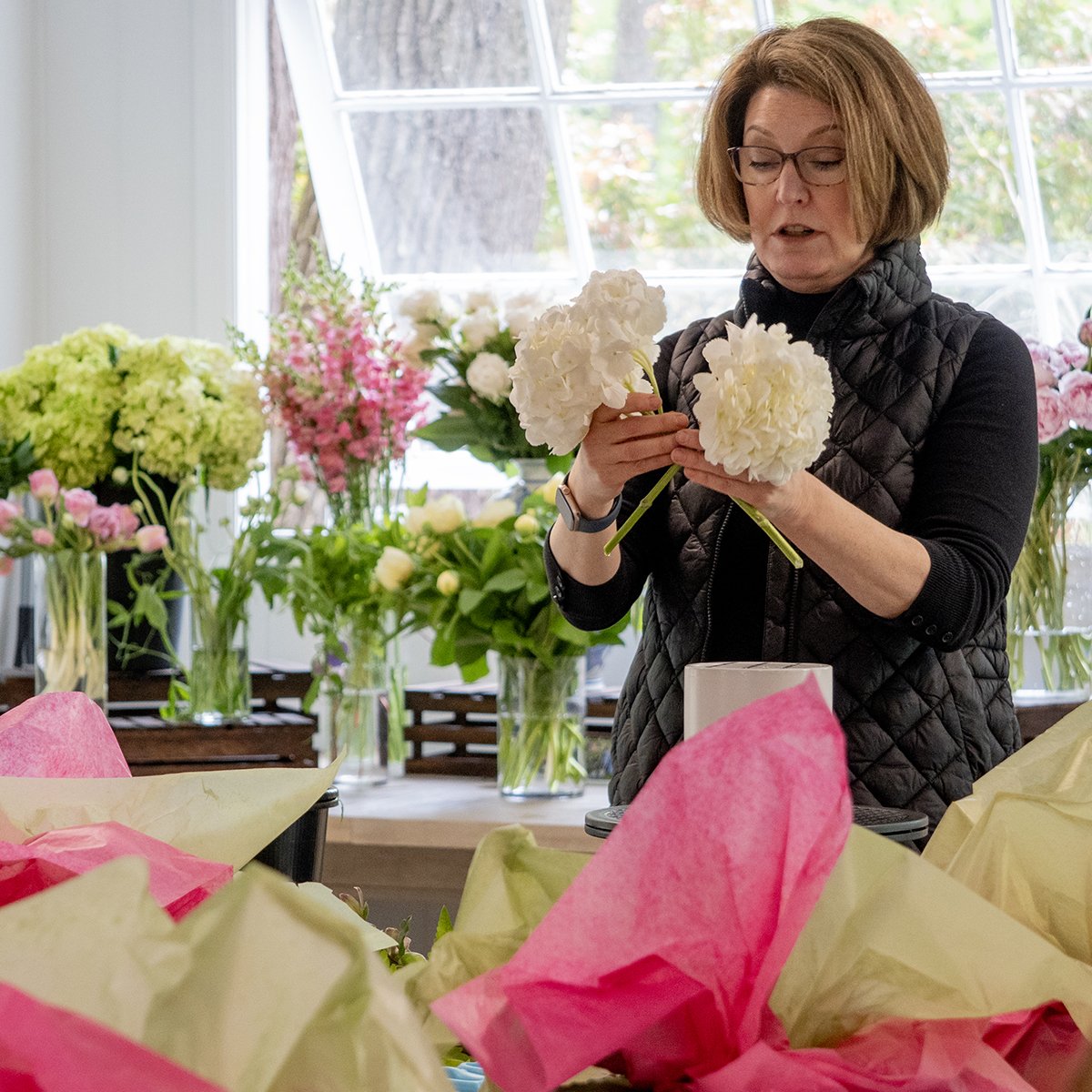 Shop Peony Plants for Sale - Paeonia - Peony's Envy — Peony's Envy