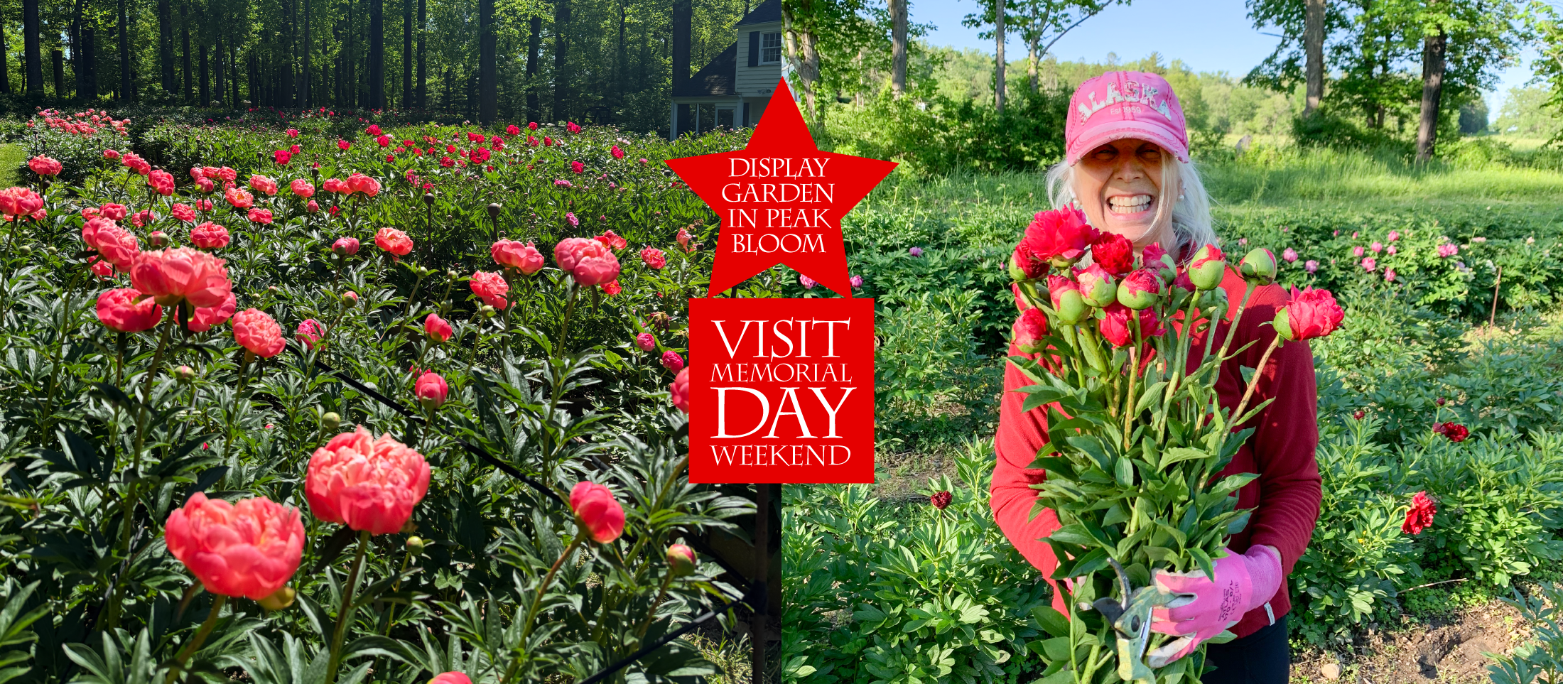 index_5_20_25_garden_h10.png