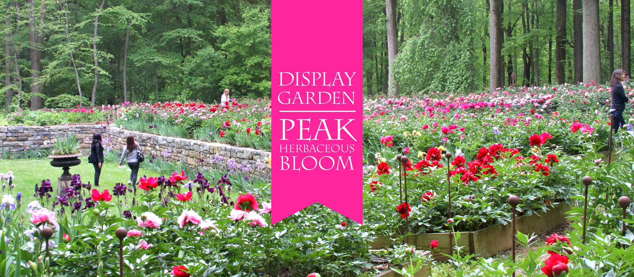 index_5_20_25_garden_h3.png