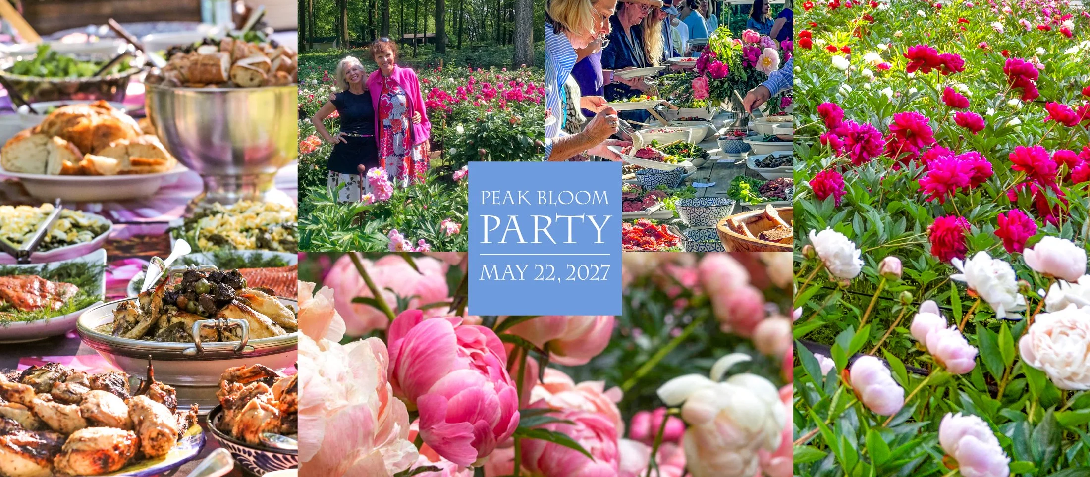 index_6_22_27_party_h5.jpg