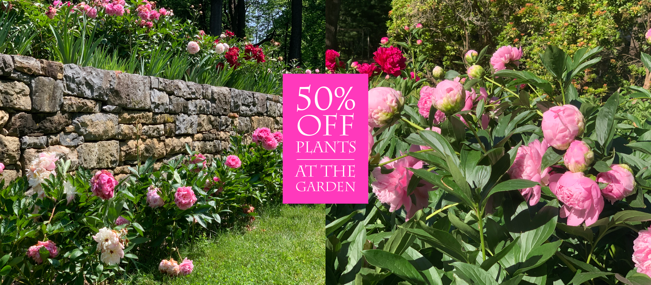 index_5_15_26_garden_h3.png