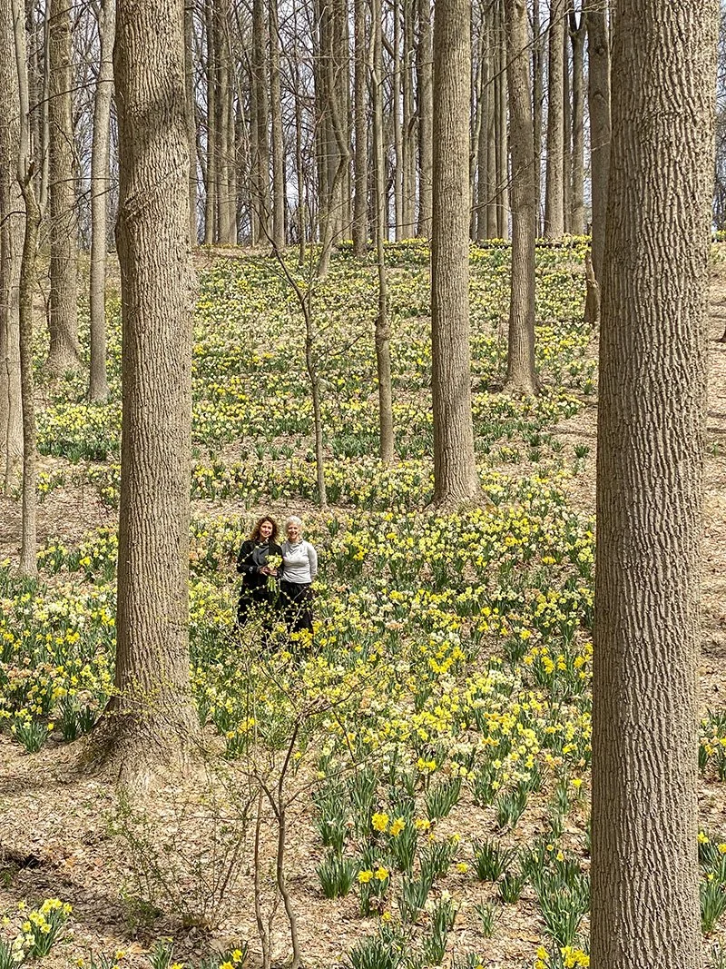Peony Nursery & Daffodil Fields