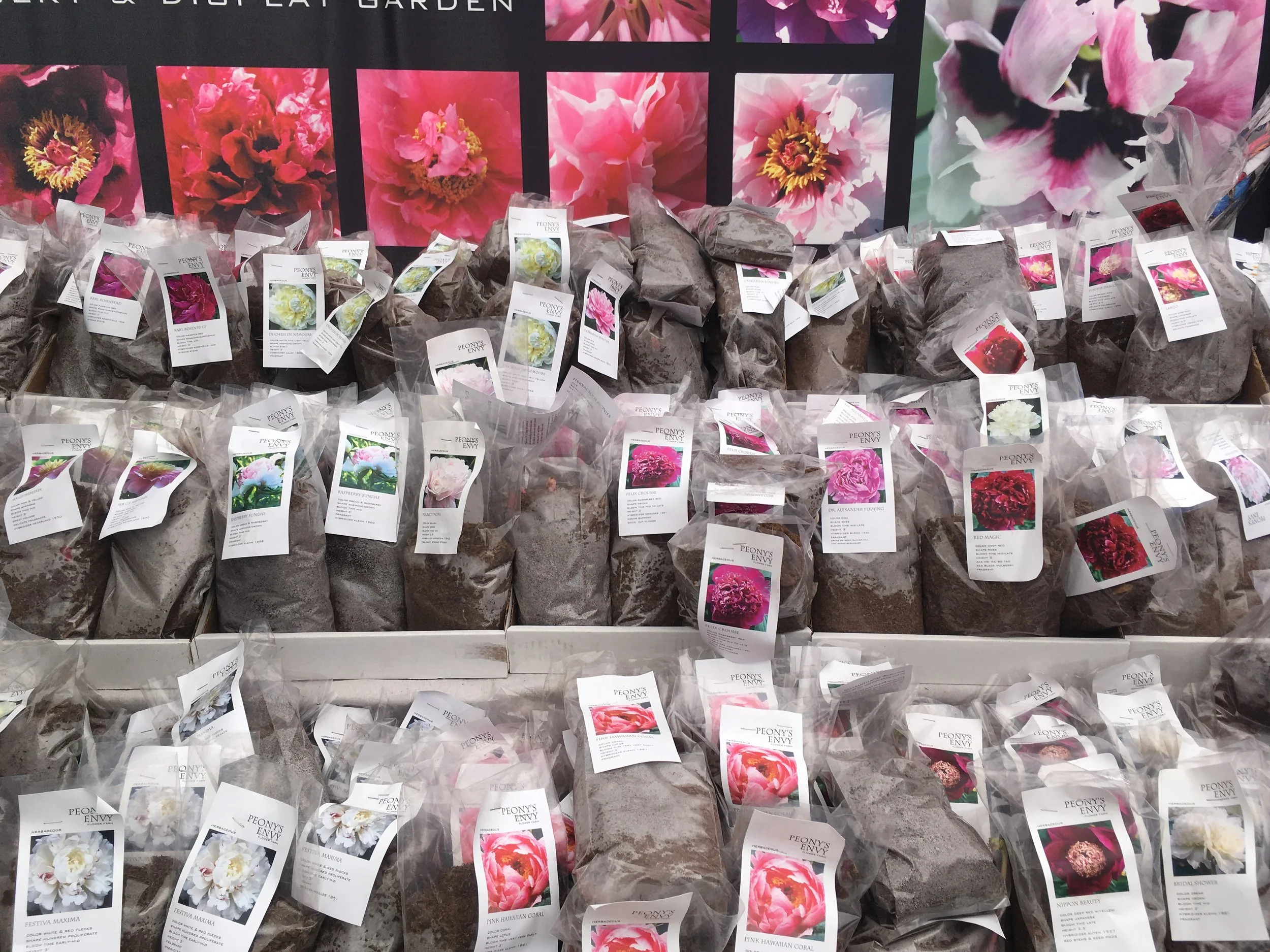 Bloom Flower &amp; Home Market - Burlington, VT