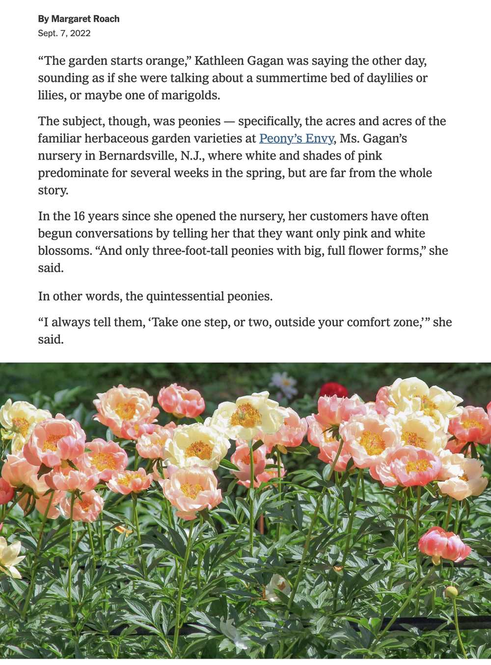 In the Press — Peony's Envy