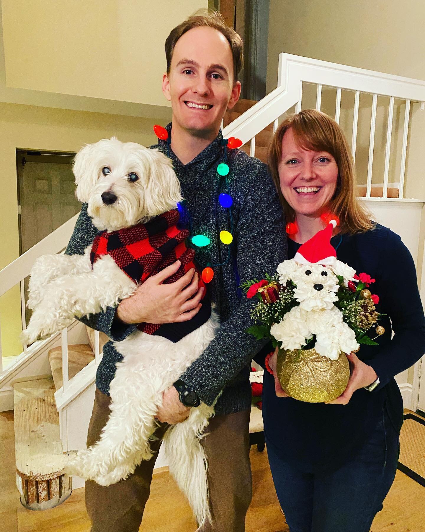 Happy Christmas from us and this awesome floral arrangement that looks like Chewie. 🎄🎉❄️ 

May peace and hope light your day and year!