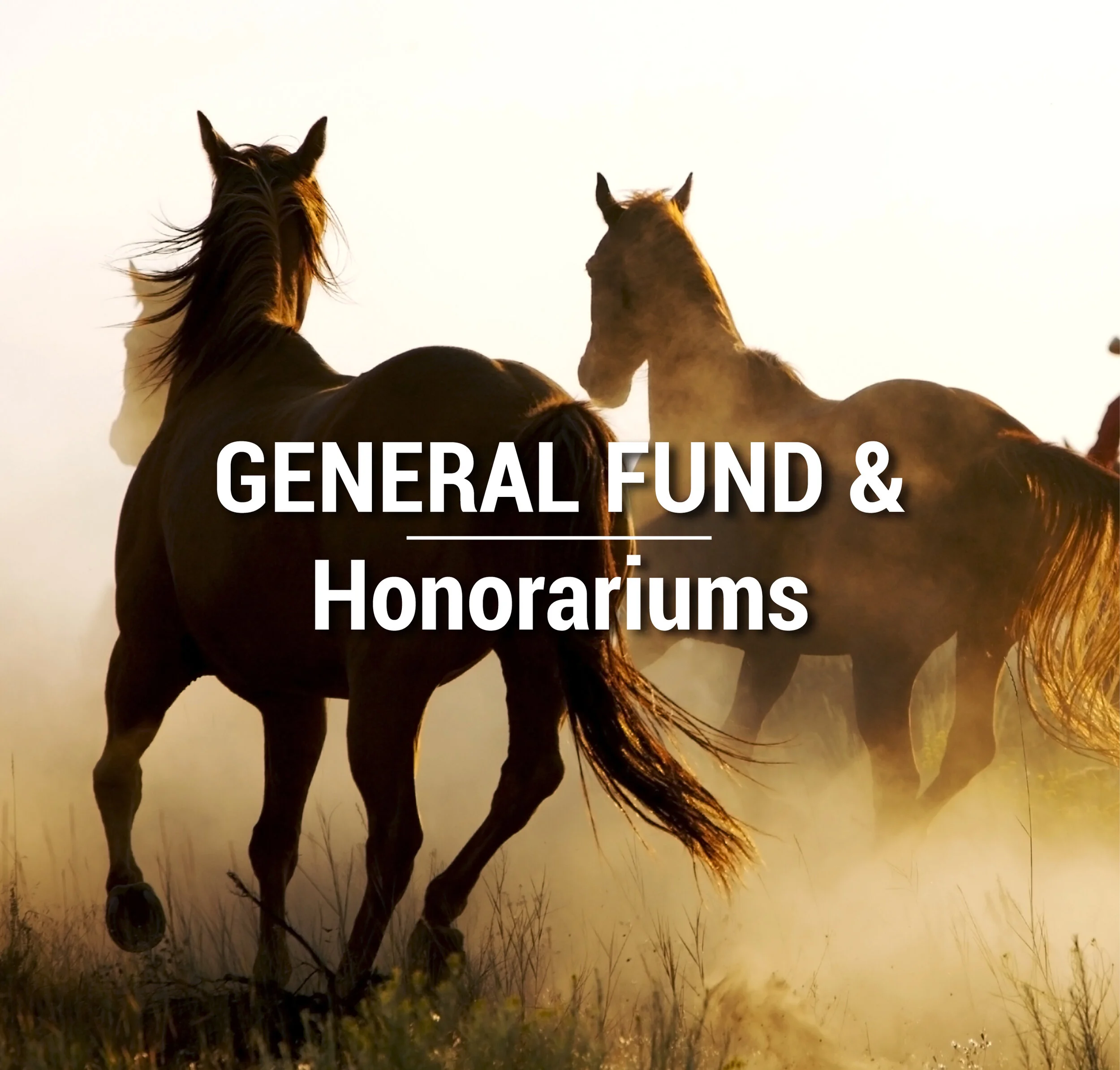 General Fund & Honorarium