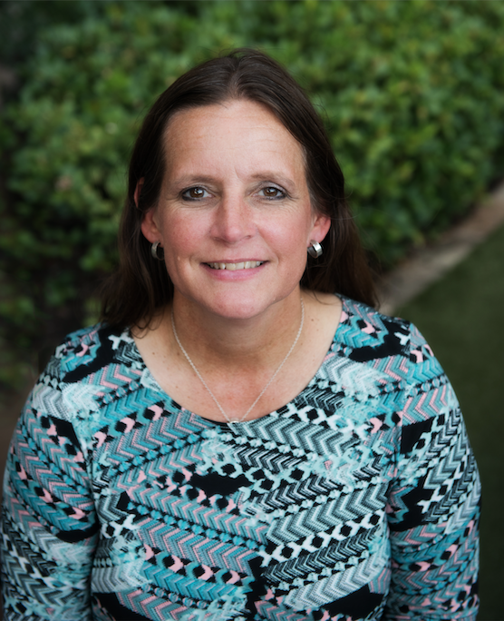 About Texas Equine Veterinary Association