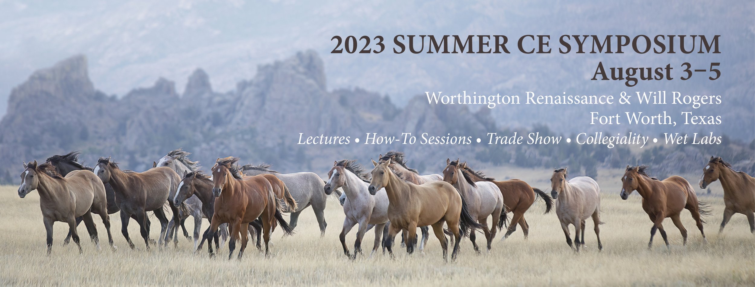 Summer CE Symposium