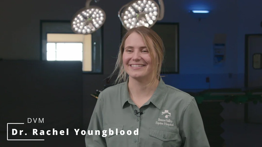 Texas Equine Veterinary Association