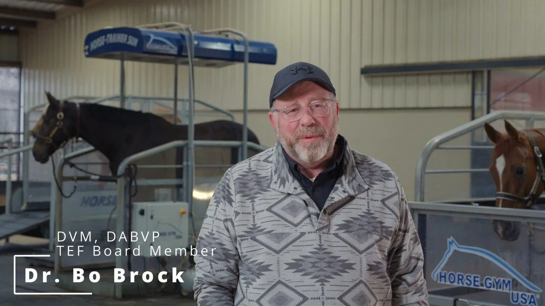 Texas Equine Veterinary Association