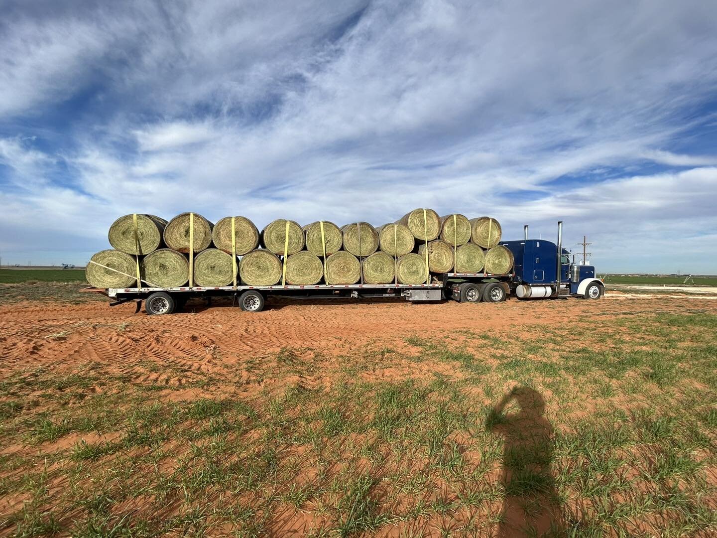 It never fails to amaze us how our horse community continuously shows up for one another. Over the weekend, 56 tons of alfalfa, 42 rolls of alfalfa, 125 grass rolls, and 500 square bales were delivered and routed to our neighbors in the Panhandle of 