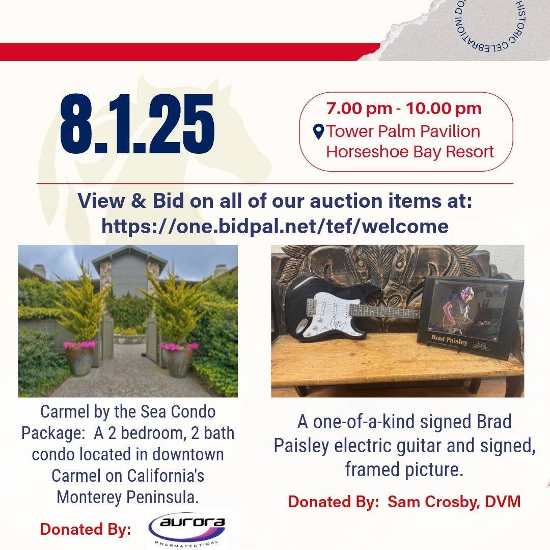 ✨Your bids make a difference.✨
The Texas Equine Foundation is committed to supporting student outreach, crisis relief, and equine welfare across our region. Equine veterinarians are facing a crisis. If you are a horse owner, you probably already know