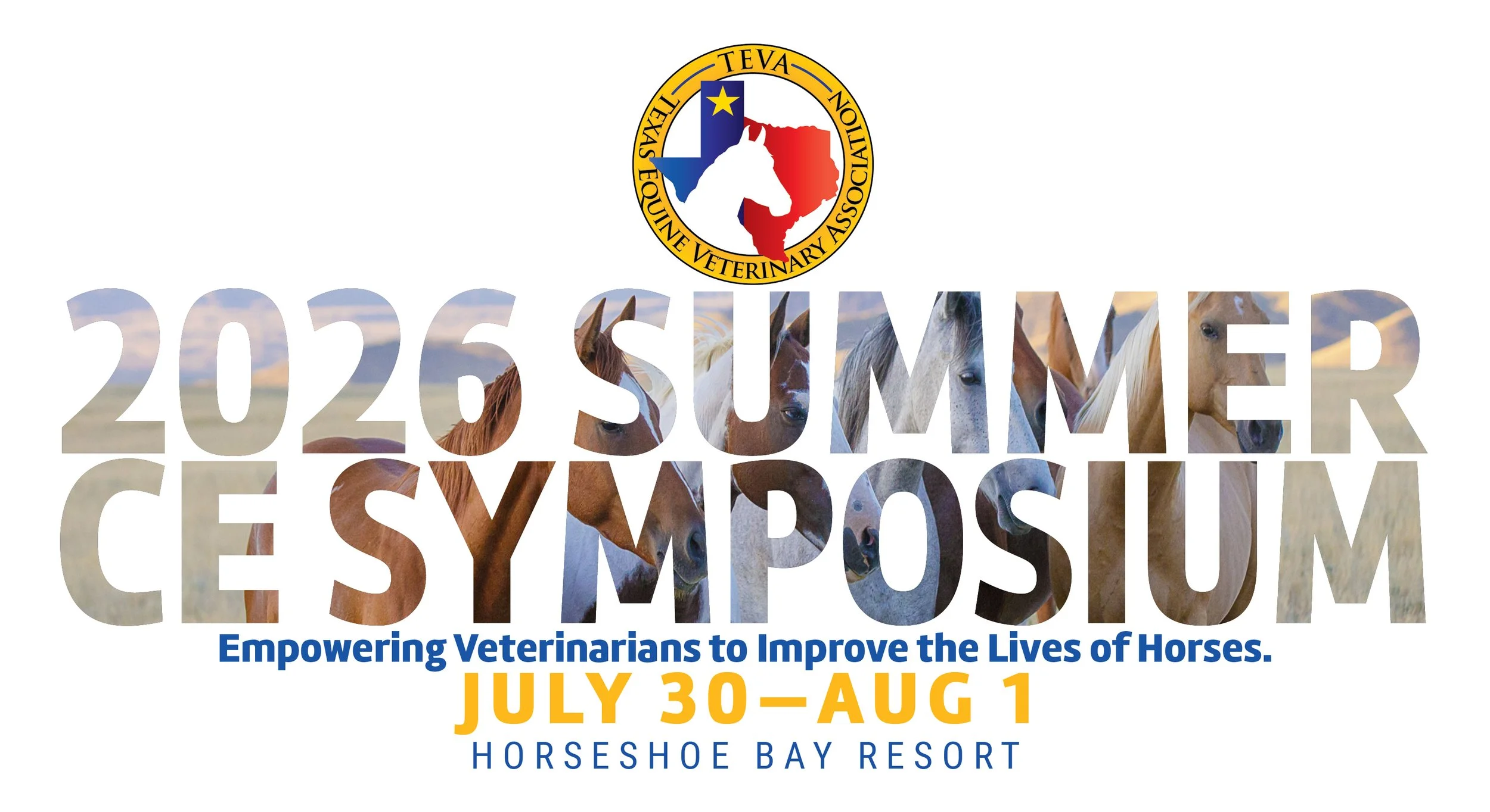 2026 Summer CE Symposium