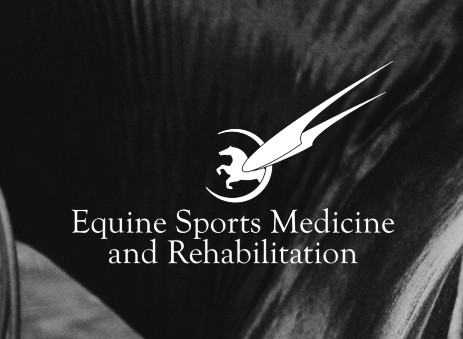 SCAAEP Job Fair — Texas Equine Veterinary Association