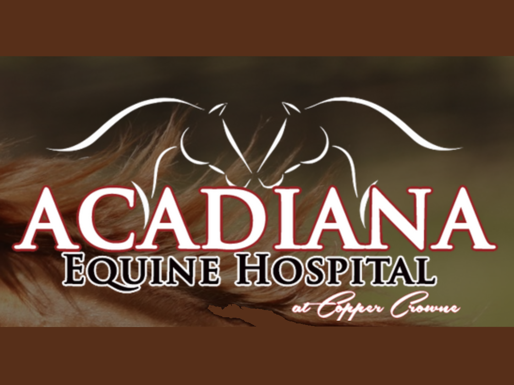 SCAAEP Job Fair — Texas Equine Veterinary Association