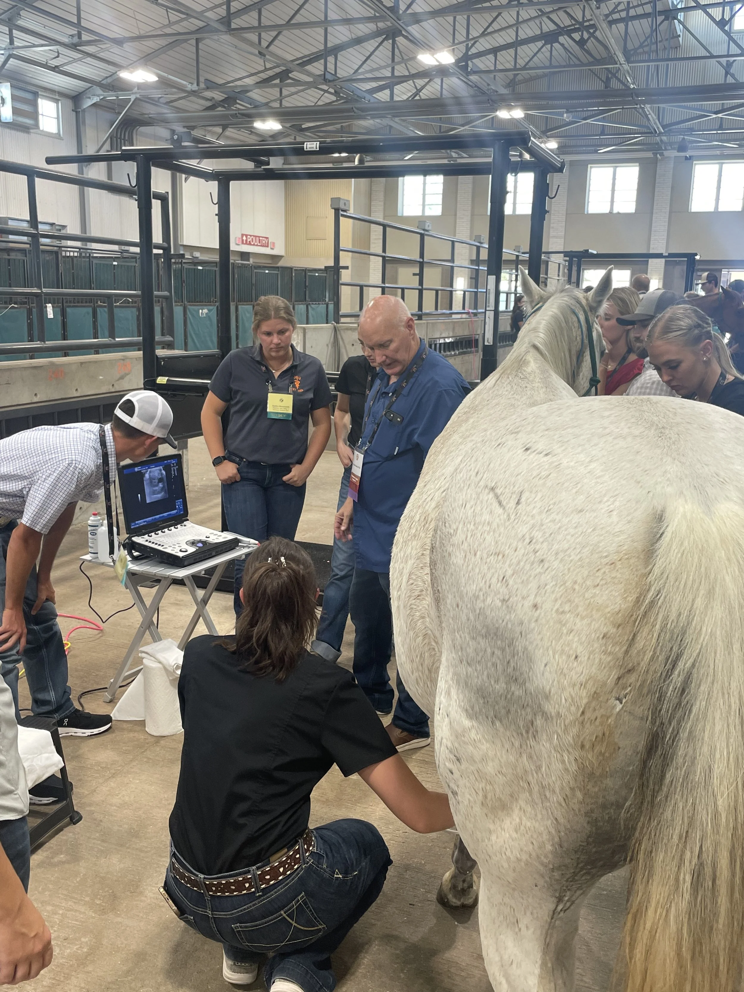 Continuing Education — Texas Equine Veterinary Association