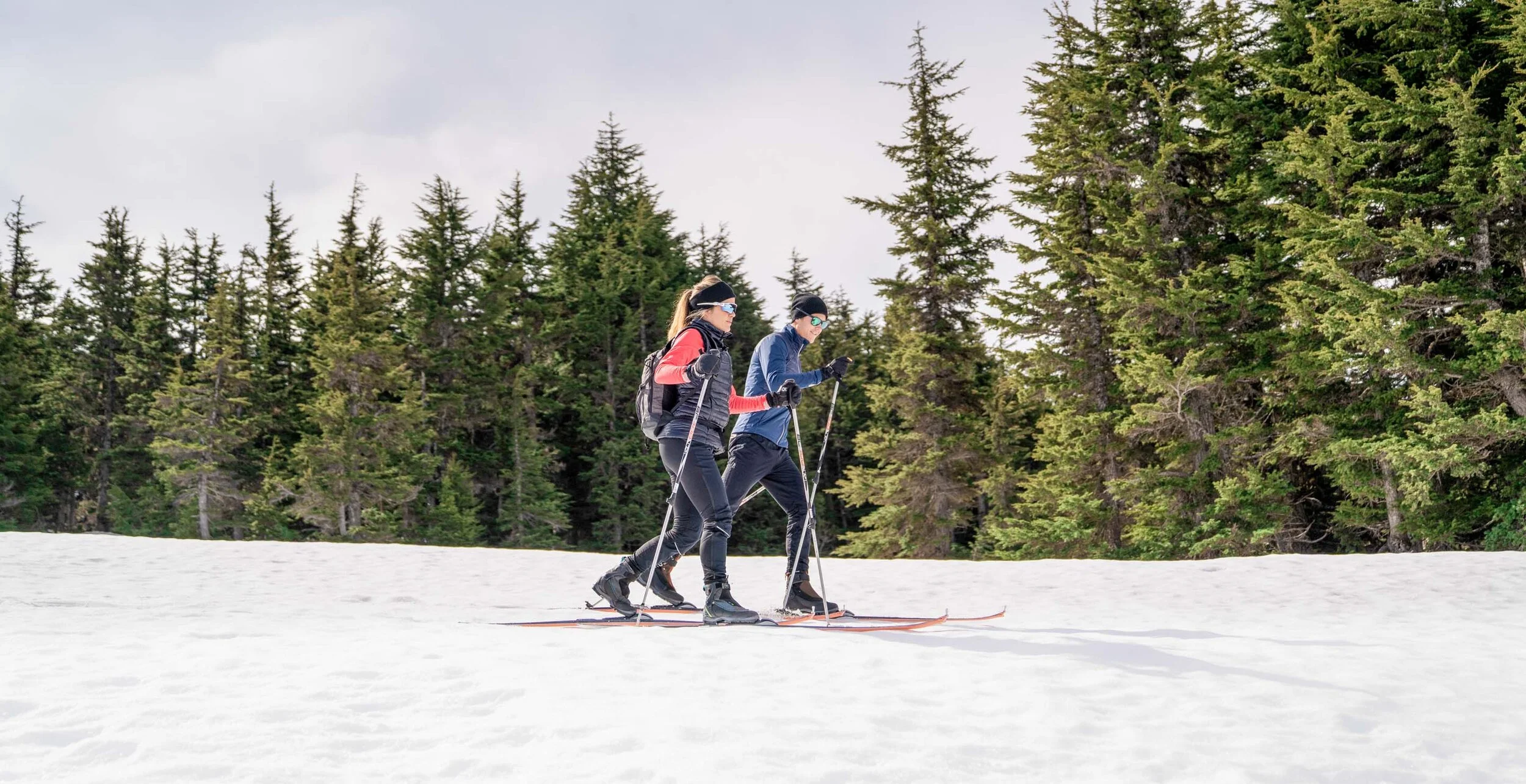 Two people cross country skiing in the woods.