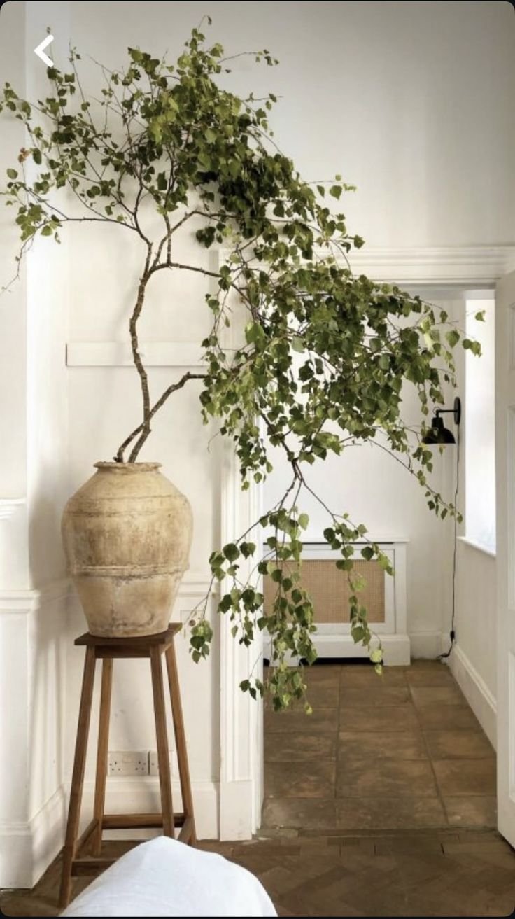 How to Style Your House for Spring: Affordable and Easy Updates