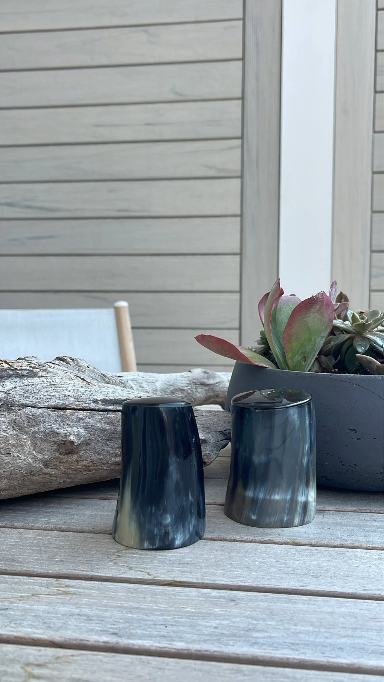 Horn Salt and Pepper Shakers