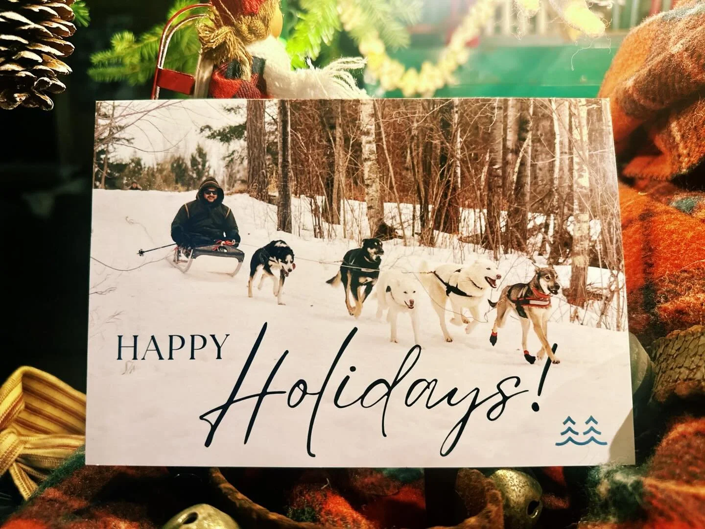 Best Holiday Card Ever!!! Thank you for your contributions, @borealwaterscf and @mrbenjaminboom for all your hard work. Together, we are making a real difference in the lives of others.

#community #strongertogether #adaptiveadventures #adaptivedogsl