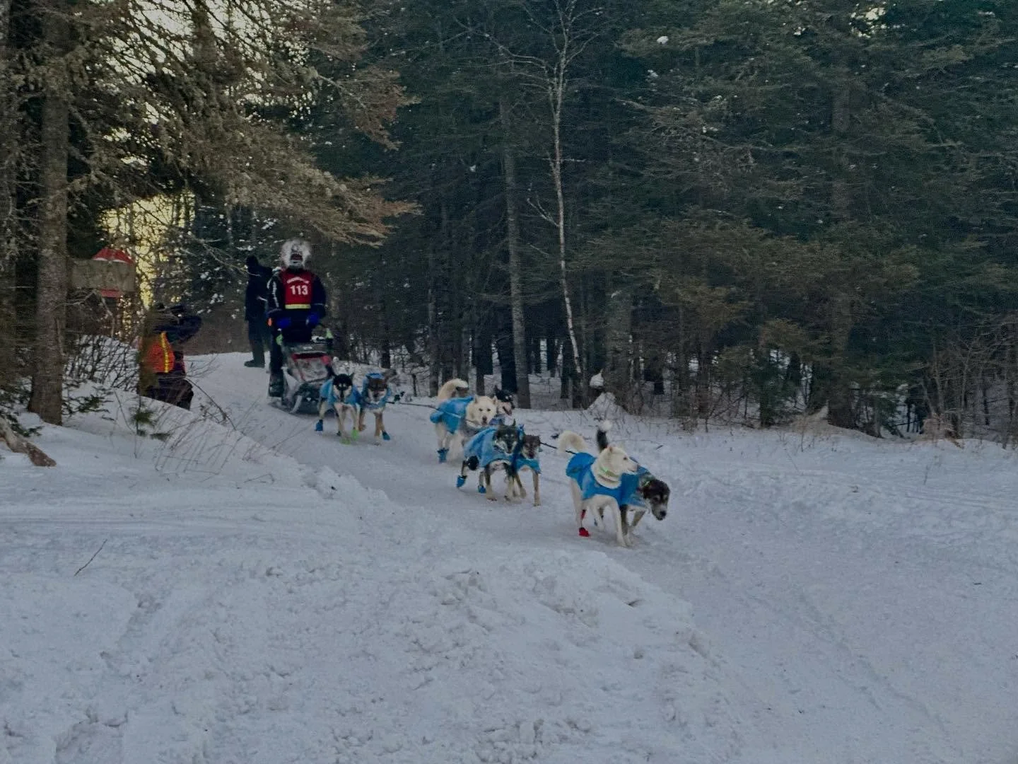 David just completed his first Beargrease 120, finishing in 10th place. His goal was to finish with all his teammates, and he did. Temps were bitterly cold and on his last run they never rose above -30 windshield. 

His teammates: 
Spud, Mossy, Opal,