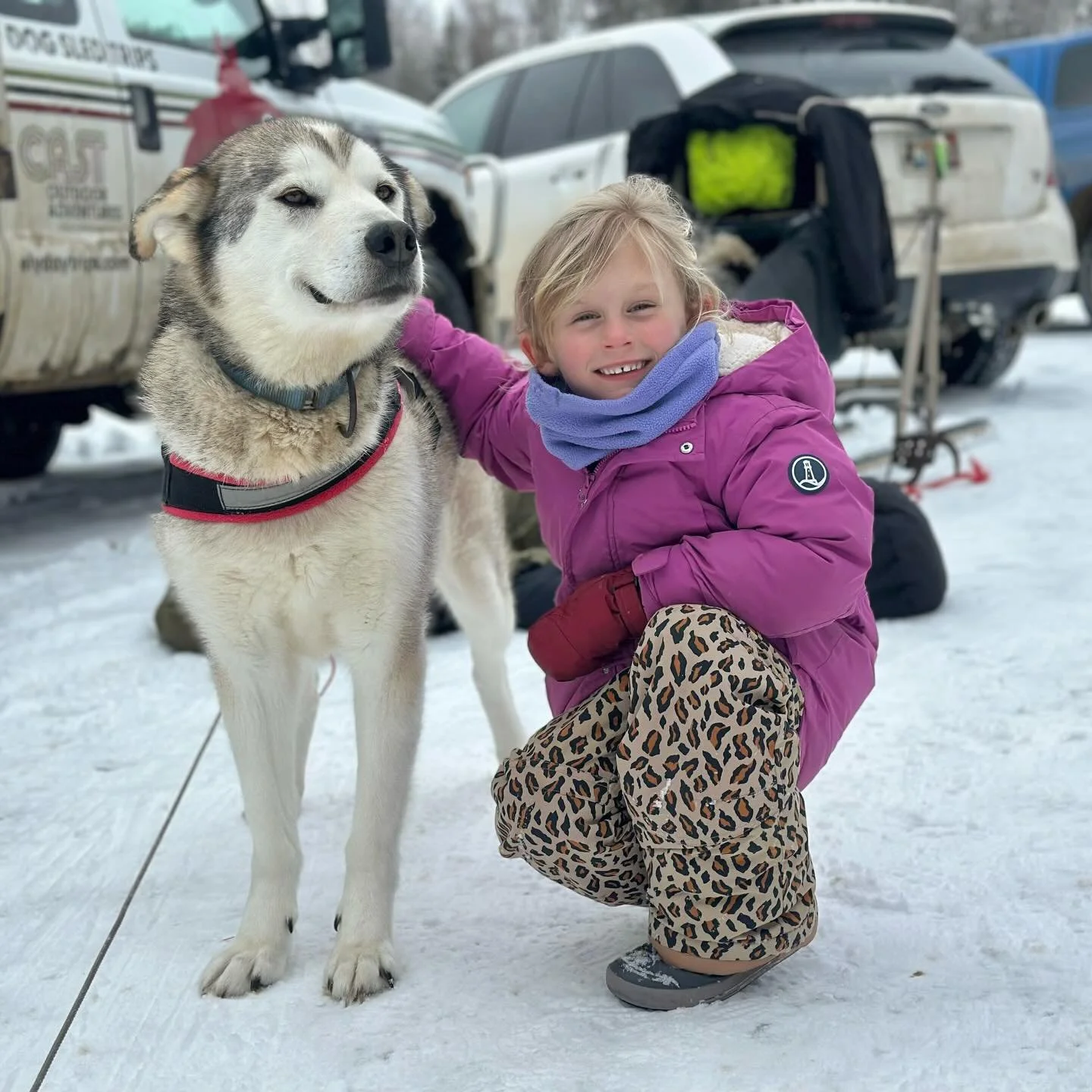 Crazy good photo! 

#todaywasagoodday #familytime #dogsledding #adventure #bwca