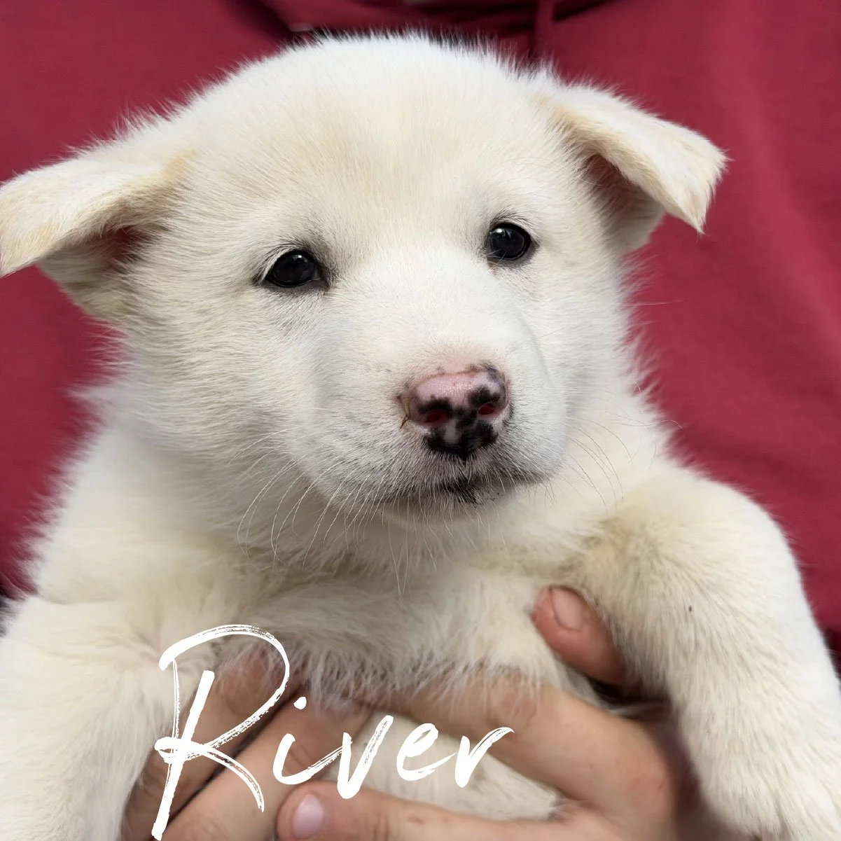 river.jpg