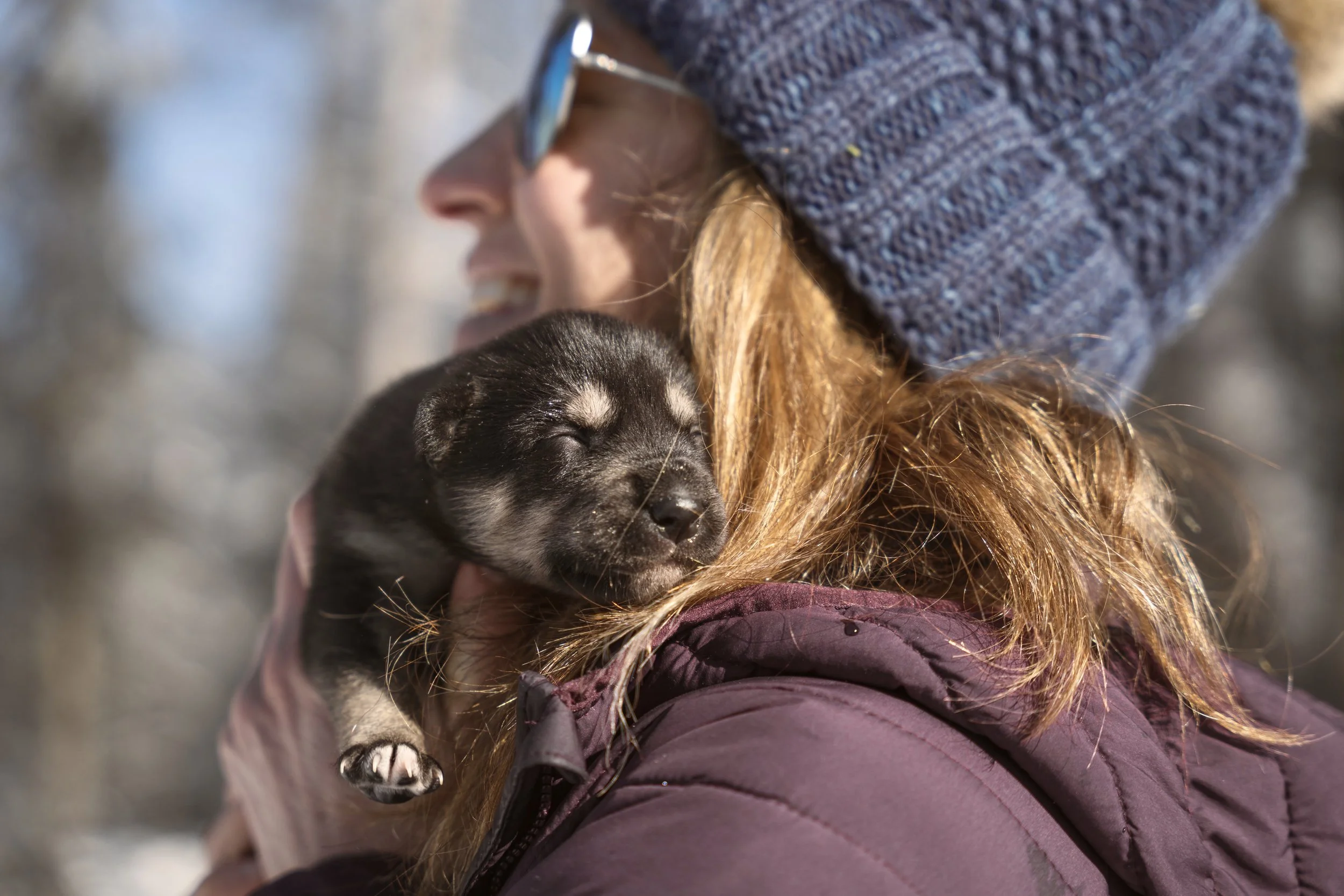 Dog Sledding in Ely, MN — Cast Outdoor Adventures