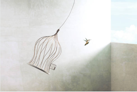 Empty birdcage hanging with a hummingbird in flight nearby against a minimalist background.