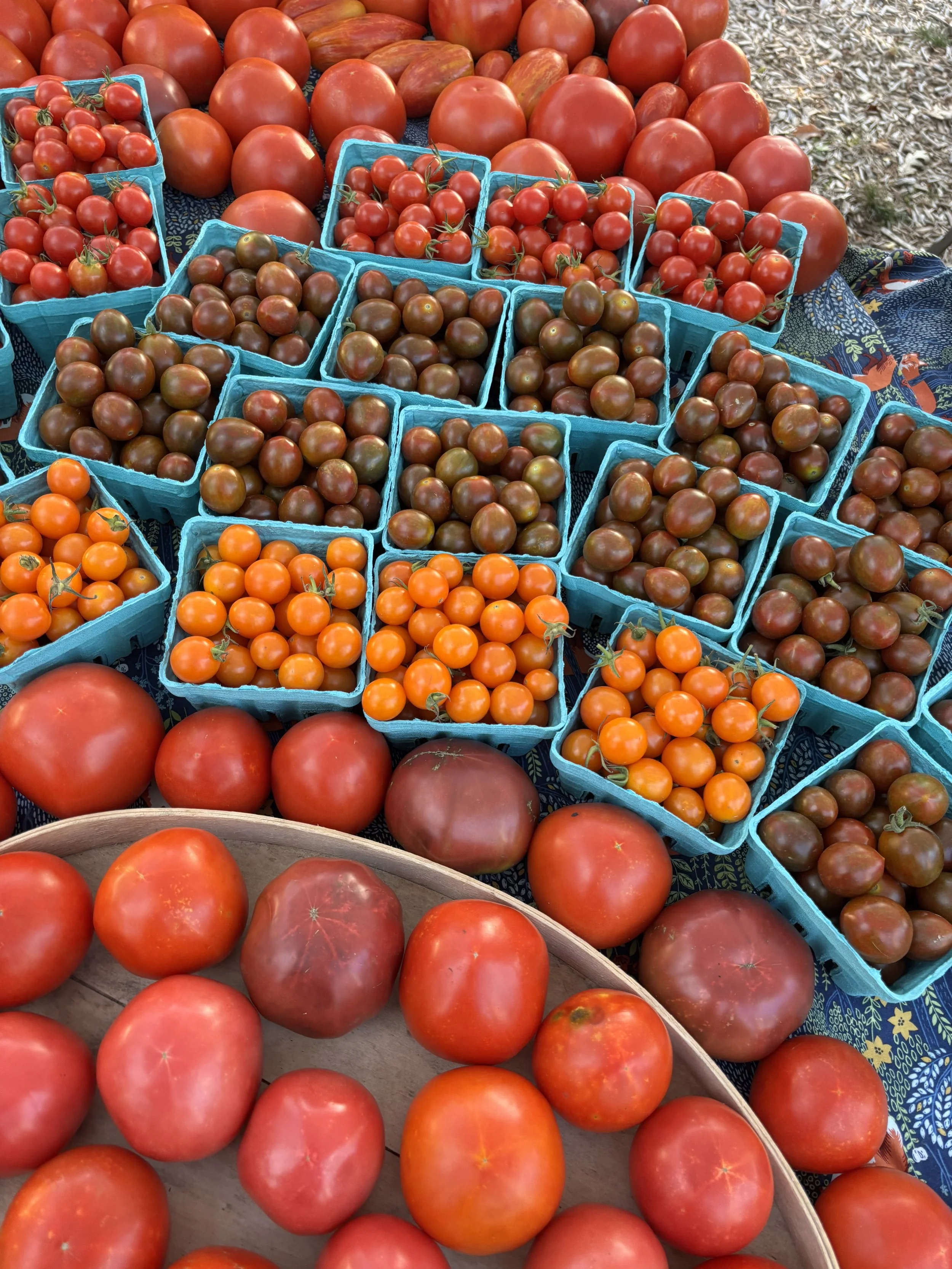 Market Style CSA Large Share $400 ($480 in value)