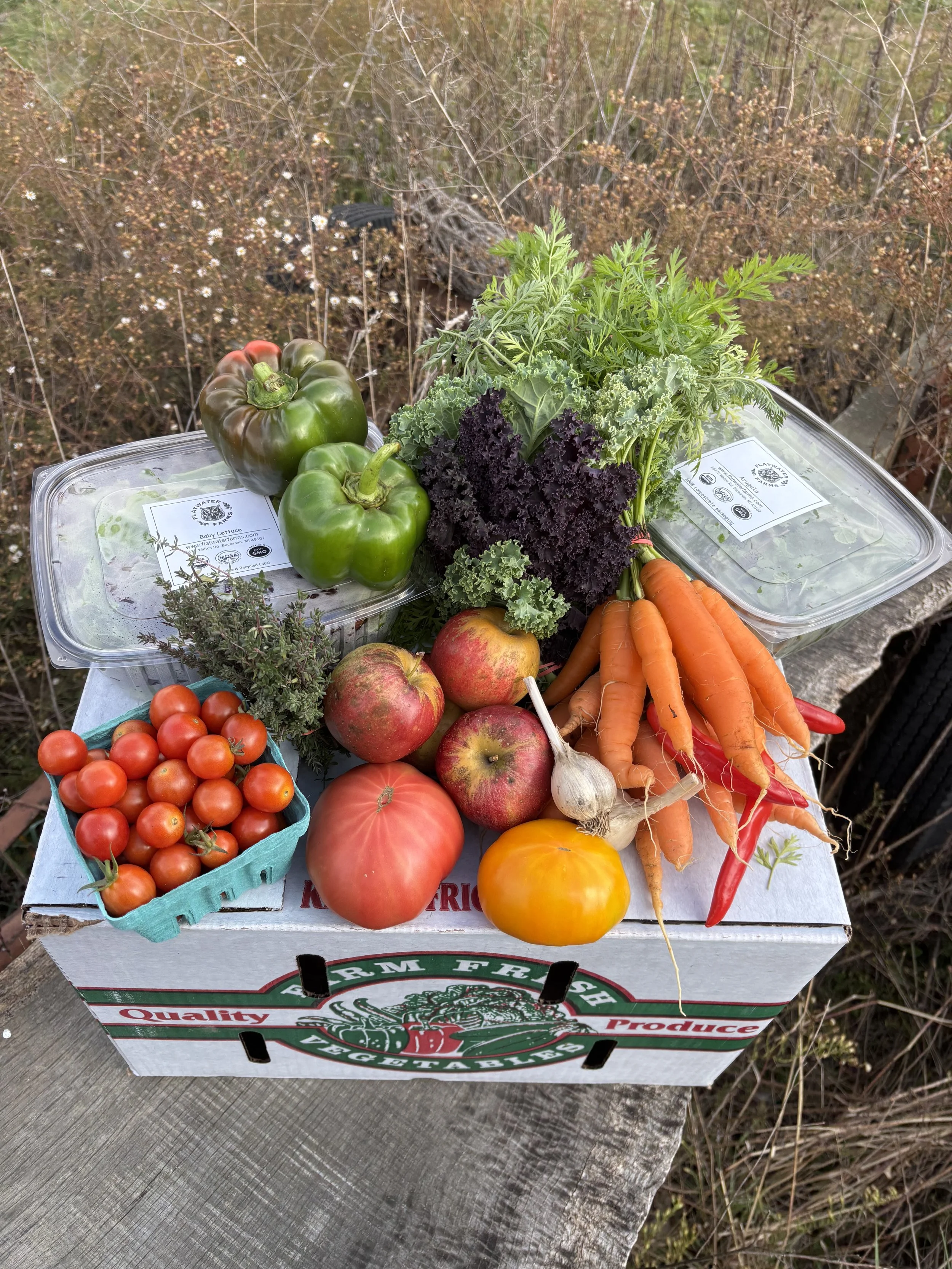 Large CSA .jpeg