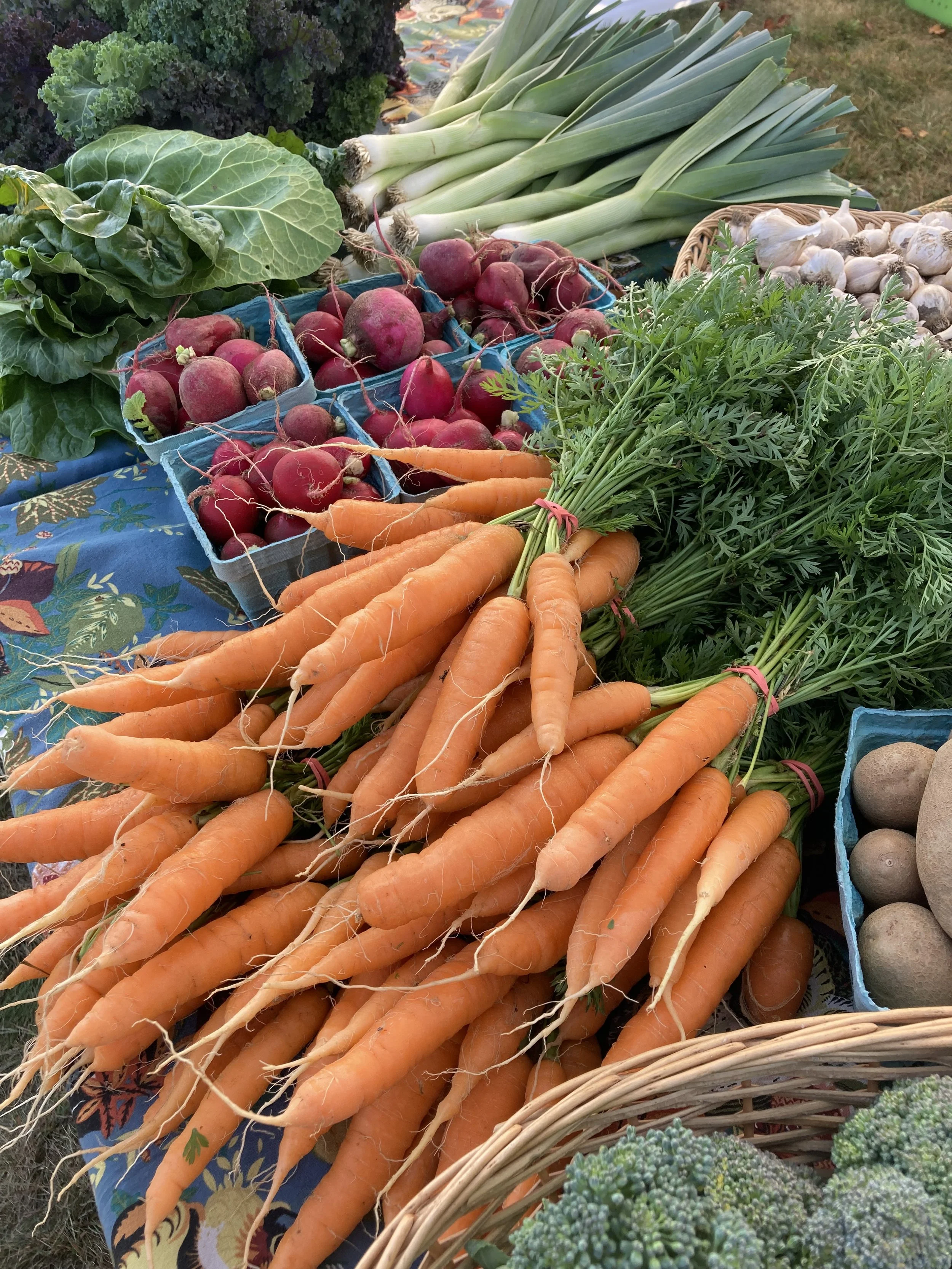 Market Style CSA Small Share $250 ($290 in value)
