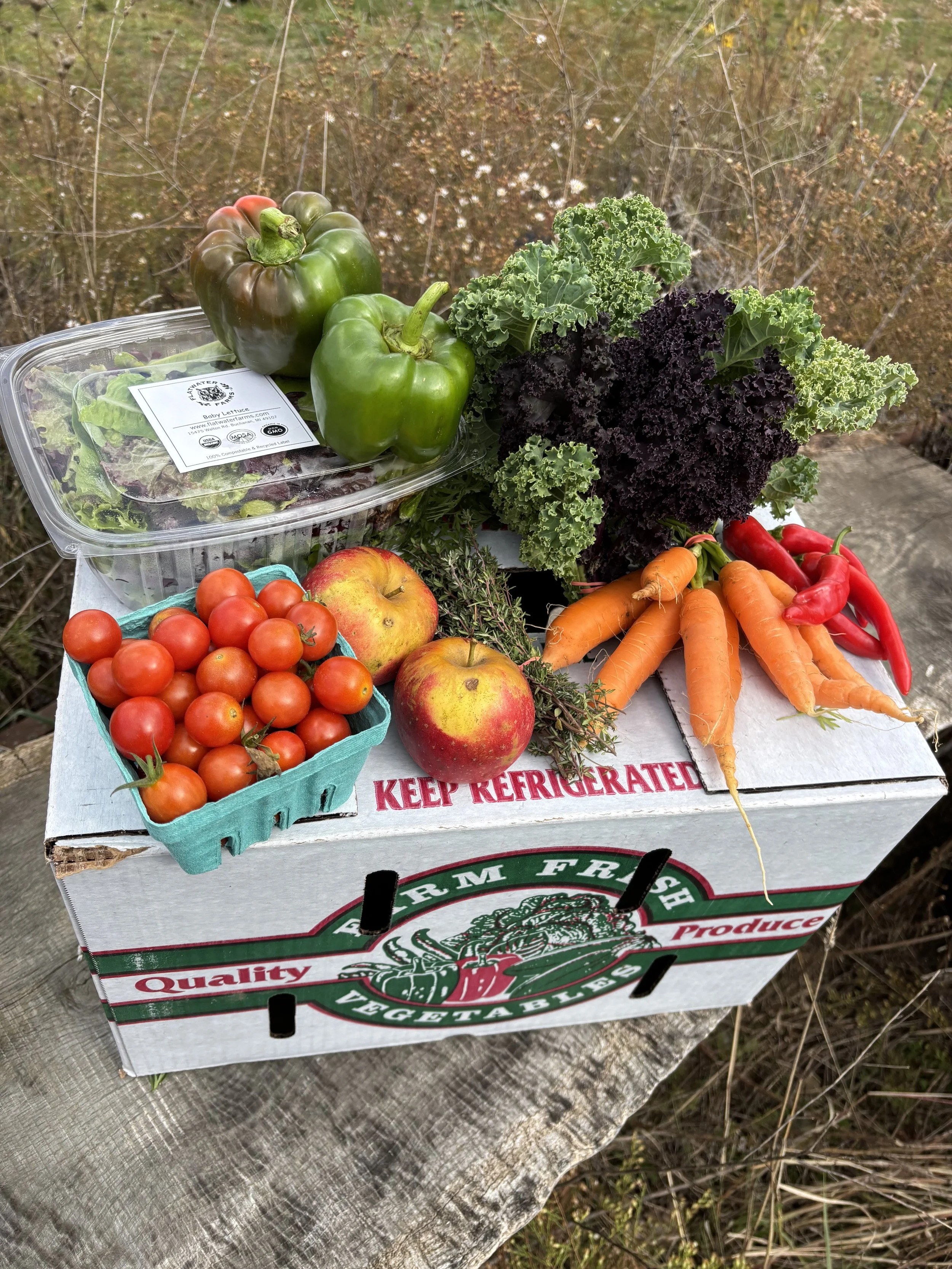Small CSA.jpeg