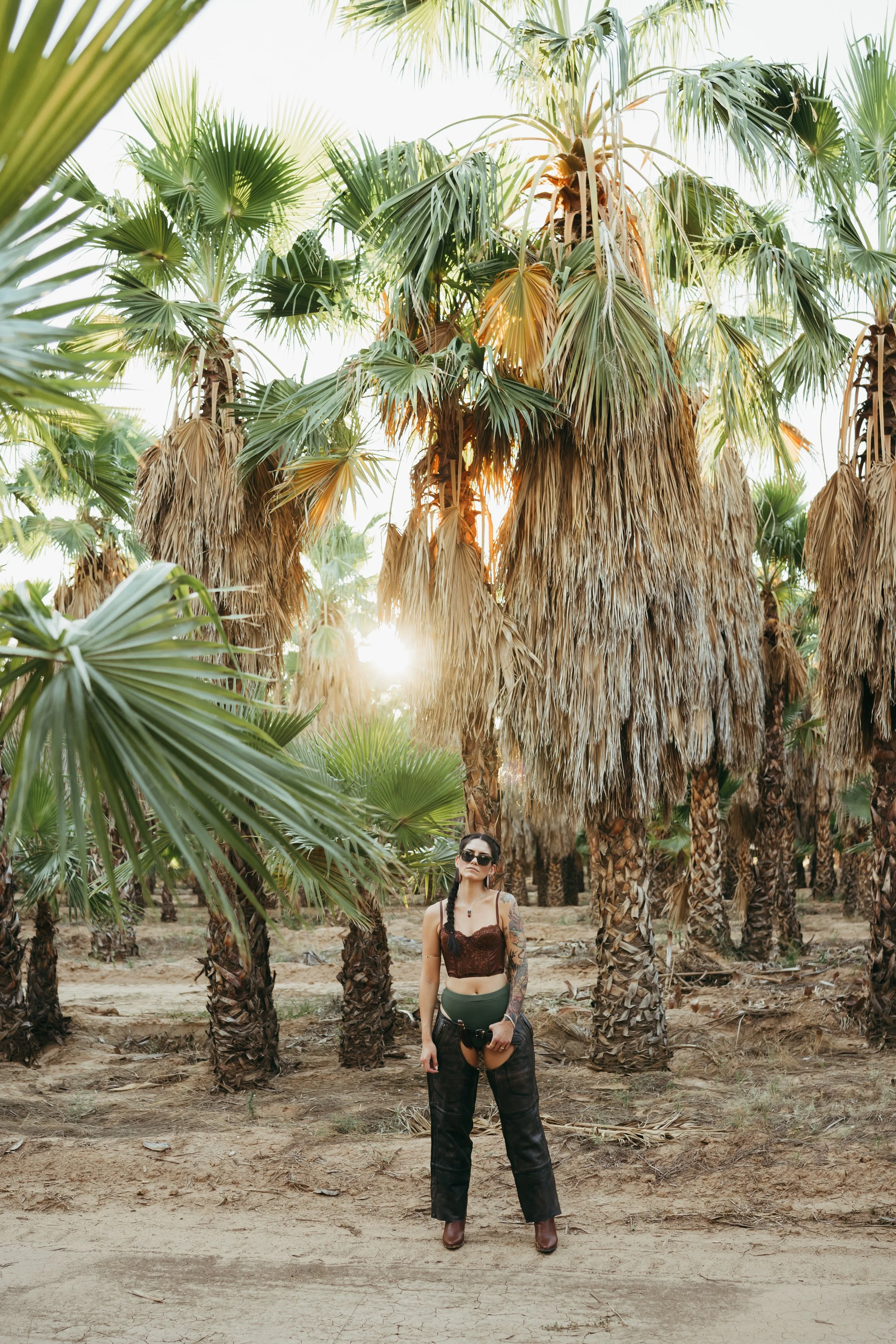 Meg-Palm-Trees-3.jpeg