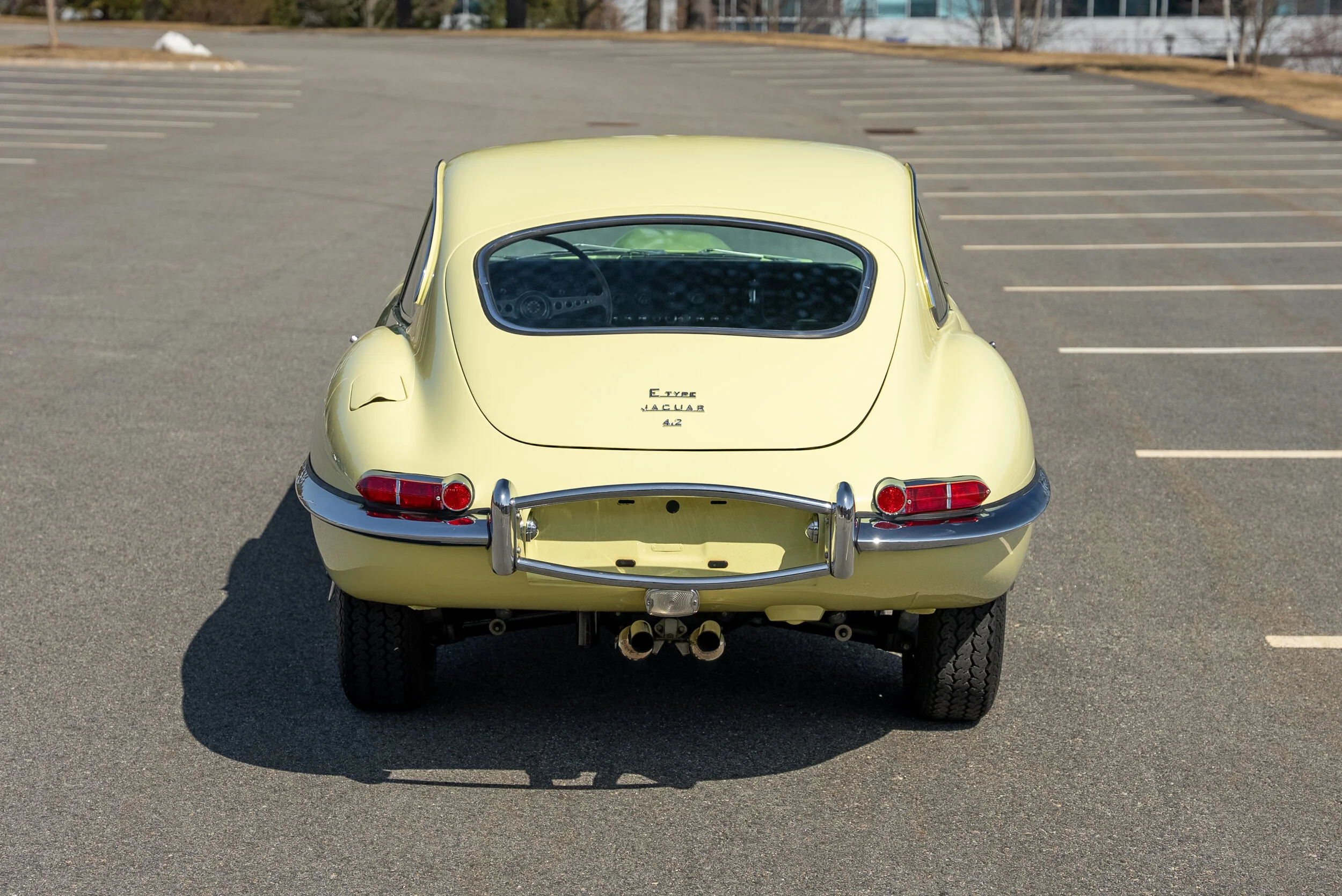 DSC05598-Edited.jpg